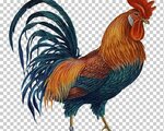Red_Rooster